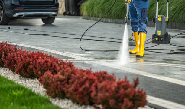 Best Sidewalk and Walkway Cleaning  in Temple, PA